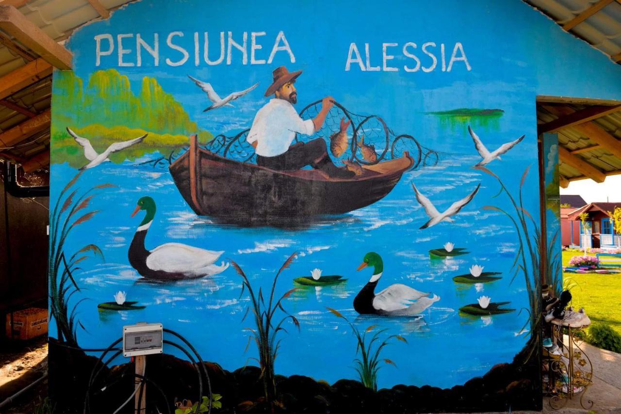 Pensiunea Alessia Murighiol Exterior foto